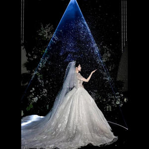 Cinderella Dream Wedding Laser Light 5W Animación a todo color Control inalámbrico a través de la aplicación móvil Luces de escenario para bodas - Product Image 2