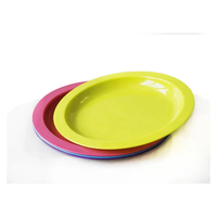 Assiettes de camping en plastique Ensemble de couverts Assiettes jetables biodégradables