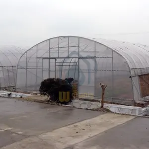 Rahmen aus verzinktem Stahl Einspaniges PE-Folien gewächshaus für die Landwirtschaft Kosten günstiges Tunnel gewächshaus