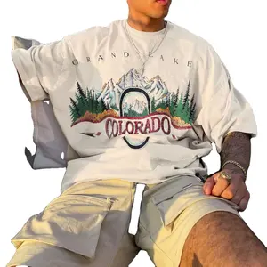 Custom Logo Men's Summer Luxury Quality 100% Cotton Oversize T-Shirt 3D Graphic Shirts and silk screen printing