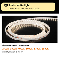 Lfb1205 Bande lumineuse LED flexible en silicone imperméable pour façade de bâtiment extérieur personnalisée, éclairage néon pour sentier de marche, banc en pierre