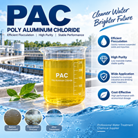 Approvisionnement direct usine : Floculant PAC (Polychlorure d'aluminium) pour applications en stations de traitement des eaux