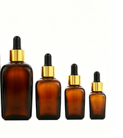 Flacons compte-gouttes carrés en verre pour cosmétiques, toutes tailles (10ml, 20ml, 30ml, 50ml, 100ml), stock en gros, marque personnalisée pour produits de beauté DIY