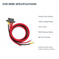 Câble de puissance haute température EVR 10mm² 1500V 30kW pour centre de données IA, assemblage de câbles avec borne annulaire M8 personnalisée