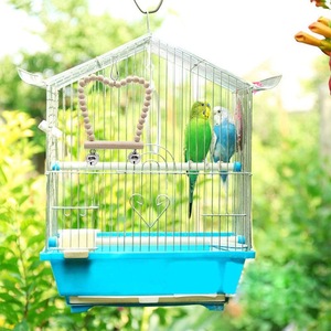 8 pièces/sac Jouets à bascule en bois pour oiseaux et perroquets, jouets naturels à mâcher/déchiqueter et à grignoter pour calopsittes, perruches et perruches du Canada - Product Image 5