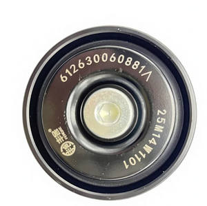 612630060881 ベルトテンショナー アイドラープーリー シャックマン X6000 ウェイチャイエンジン Wp10 Wp12用 - Product Image 2