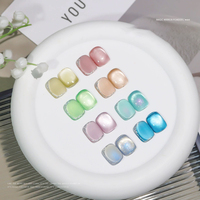 Vernis à ongles professionnels Cat Eye Gel Light Color Cat's Eye Logo Gel Polish Clear Nail Moonlight Cat Eyes Gel Polish Set