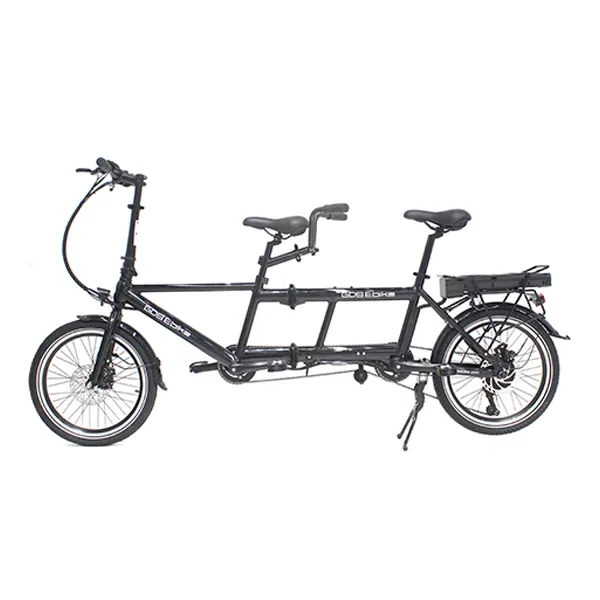 परिवार खाद्य कार्गो वितरण ई साइकिल ई-कार्गो Ebike ई-बाइक इलेक्ट्रिक बाइक