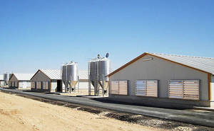 <span class=keywords><strong>Casa</strong></span> de pollo prefabricada de gran capacidad a bajo <span class=keywords><strong>precio</strong></span>, estructuras de acero para aves de corral, edificios agrícolas - Product Image 5