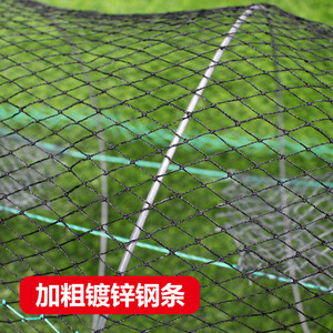 Trampa para camarones Chengye con resorte, de alambre de acero, plegable, automática, para acuicultura, para la pesca de cangrejos y anguilas - Product Image 2