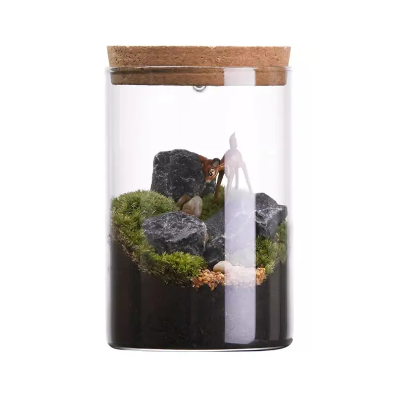 Maceta de vidrio para Terrario de musgo DIY para flores suculentas hidropónicas con tapa de corcho
