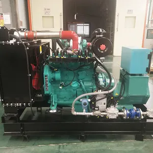 Ac 3 fazlı elektrik jeneratörü doğal gaz/50kVA doğal gaz jeneratör seti/40kW biyogaz jeneratör fiyatı