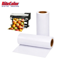 Papier photo grand format jet d'encre haute brillance de qualité supérieure compatible avec les imprimantes Canon et HP