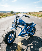 La Bicicleta Eléctrica Retro Harley 5 Urban Leisure de Litio. Con su Encanto Clásico y Excelente Rendimiento, es Realmente Imprescindible