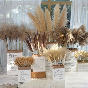 A-563 naturel pampa longue branche grande plume pampa duveteux herbe de pampa séchée - Product Image 4