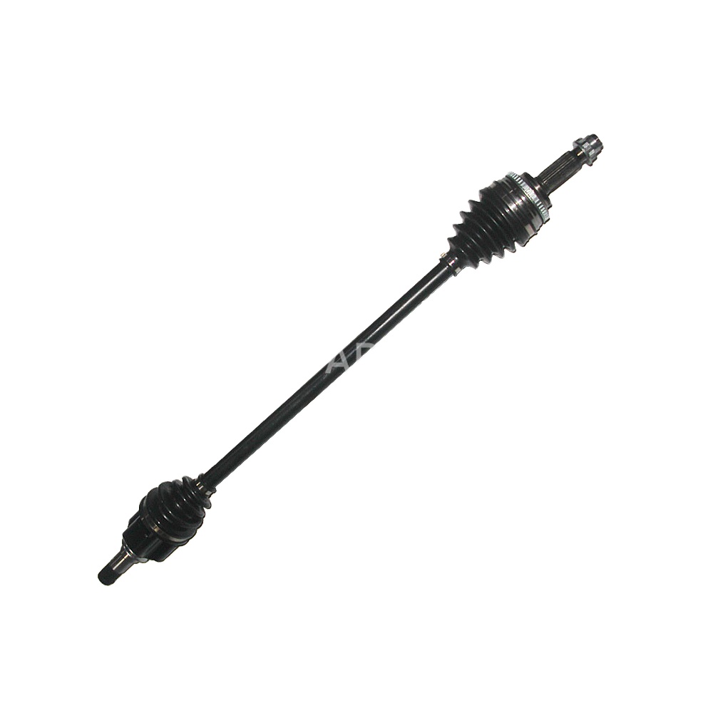 とむ ロンT】TM BORN & BRED(バックくま)｜すべての商品｜TOCHIGI.MARKET