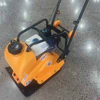 Compacteur à plaques vibrantes électrique avec moteur de 6,5 CV, puissance de 5,5 kW, haute efficacité pour le compactage du gravier et du sol