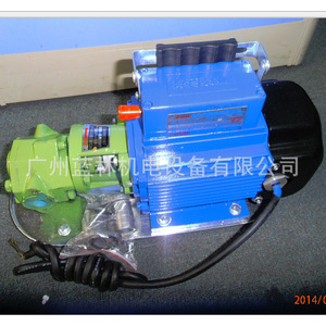 Bomba de Engranajes Monofásica WCB-75 de 220V a Prueba de Explosiones, Bomba de Tornillo para Tanque de Aceite y Gasolina para Entornos Protegidos Contra Explosiones - Product Image 2