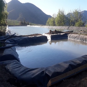 80ミルPlastic Roll Agriculture Film Big Pond Liners Black <span class=keywords><strong>HDPE</strong></span> Sheets黒ポリ池ライナージオメンブレン