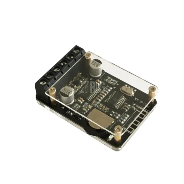 LTRIG custom 1Pcs 20W * 2 for bluetooth 5.0 Stereo Digital Audio Amplifier with Case DC12-24V Dual Channel Small Stereo Amp