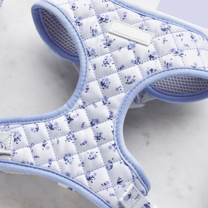 Conjunto de Collar y Correa Personalizados para Cachorros, Arnés Acolchado de Neopreno para Perros - Product Image 6