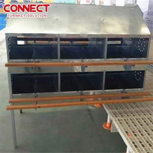 Système d'élevage avicole automatique grande capacité pour l'élevage au sol, avec ligne de cages de pontage pour poules pondeuses - Product Image 6