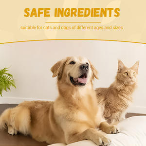 Zeer Voedingsstoffen Huisdier Voedingssupplement Voor Kattenhonden Ondersteunen Urinewegen Nier Boost Energie Vitaliteit Gezondheid Vloeibare Druppels - Product Image 5