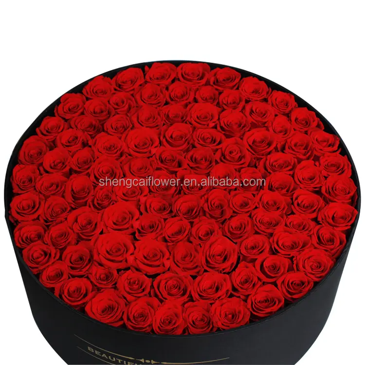 Un Grade Vente en gros Presed Rose éternelle stabilisée Jumbo xl 100 Roses conservées dans une boîte