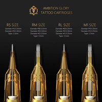 Aiguilles de cartouche de tatouage jetables XNET Gold 10 pièces/boîte 1RL 3RL 5RL 7RL 9RL 11RL 14RL 7RS 7M1 5RM 7RM 9RM 11RM 13RM 15RM RL RM RS