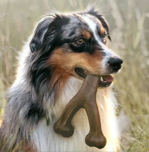 Juguete de Nylon Resistente para Perros con Forma de Hueso, Apto para Alimentos, para Masticadores Agresivos, con Sabor a Tocino, Pollo, Carne, Cacahuete y Madera - Product Image 5