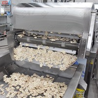 Machine de fabrication de Chips de bananes, petite échelle, Production de plantes pour fabriquer des Chips de bananes