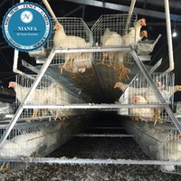 Grillage soudé automatique galvanisé pour cages à poulets, équipement de clôture de ferme pour élevages avicoles, grillage noir plié