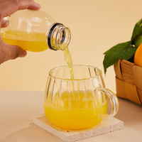 Transparante plastic fles voor koudgeperste sap, voedselveilig, wegwerpbaar, voor fruit sap, smoothie en drankenverpakkingen