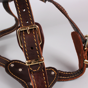 Hakiki Deri Köpek Tasması <span class=keywords><strong>L</strong></span>üks Ayarlanabilir Cırtlı Kişiselleştirilmiş - Product Image 4