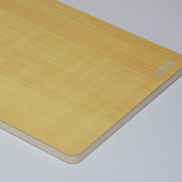 Panneaux ignifuges et isolants de classe A pour la décoration des murs intérieurs et extérieurs, panneaux en silicate, panneaux isolants en mousse