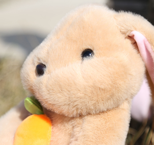 Ngày phục sinh lễ hội thỏ quà tặng đồ chơi thỏ thỏ sang trọng với đồ chơi cà rốt - Product Image 6