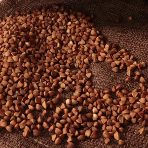 Good Quality Sweet Buck Wheat Buckwheat Grain Roasted Buckwheat Kernels