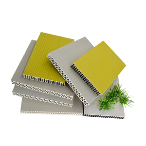 Encofrado de PP hueco de alta durabilidad, panel de polipropileno reutilizable para hormigón, tamaño personalizado para proyectos de construcción de muros, columnas y losas. - Product Image 1