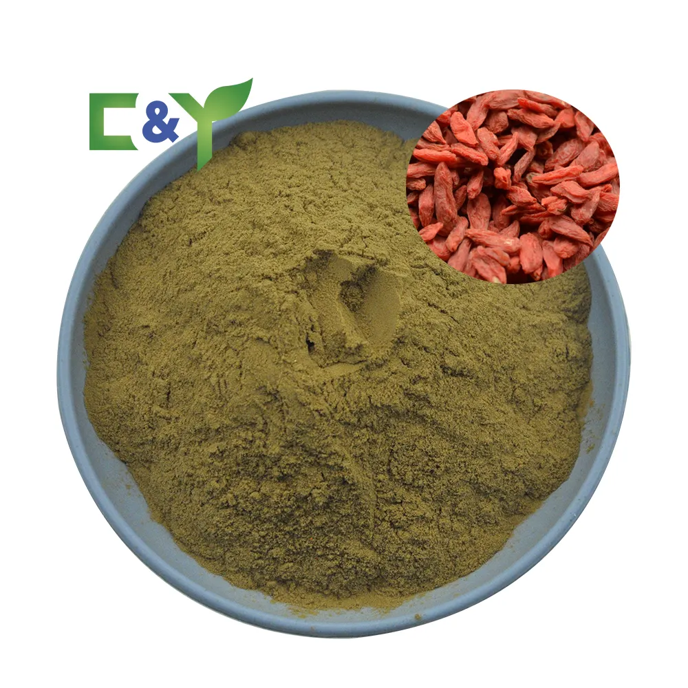 Bulk Chinese Wolfberry Extract goji berry seed goji berry powder