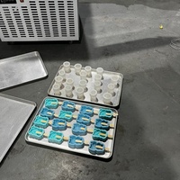 Máquina de Producción de Helados en Gel de Congelación Rápida -40 ° Congelador Comercial de Congelación Rápida para Moldes de Silicona 3D para Helados