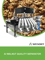 3a Grade Chinese Voedsel Gedroogde Fruitzak Verpakking Pinda Pit Walnoten Pitten Sorteermachine Vorm Kleur Sorteerder 99.99%