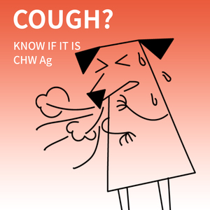 Diagnose Veterinärprodukt Hund CHW Ag <span class=keywords><strong>Test</strong></span> Caniner Herzwurm-<span class=keywords><strong>Antigen</strong></span> Schnelltest-Kit - Product Image 4