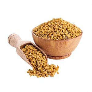 Graines de fenugrec séchées, épice unique, masala brut transformé pour mélanges d'épices et assaisonnements - Product Image 1