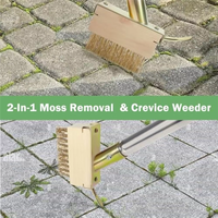 Brosse manuelle anti-mauvaises herbes à long manche pour crevasses, en acier inoxydable, pour l'élimination du mousse et le nettoyage des allées et des voies de circulation.