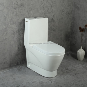 Juego de Inodoro de Cerámica de una Pieza Golden Dragon, Fabricado en China, para Uso en Baños en Etiopía - Product Image 1
