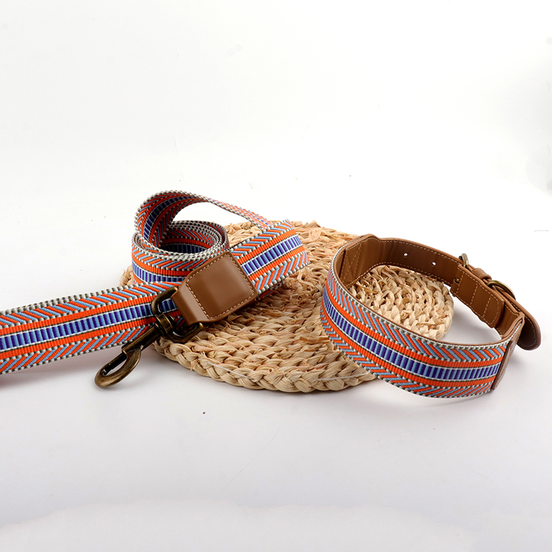 Leash and collar 3