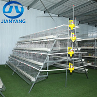 Système de cages automatiques de type A galvanisées à chaud pour l'élevage de poules pondeuses dans les projets d'élevage avicole