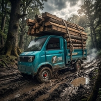 Mini camion électrique Esun à 4 roues, moteur 2000W, batterie lithium-ion ternaire, boîte de chargement personnalisable, 45 km/h, pour la logistique agricole