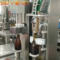 Machine semi-automatique de bouchonnage et de ligature de capsules métalliques 600BPH pour bouteilles de champagne et de vin mousseux en verre