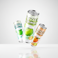 Fabricant de boissons sans sucre OEM, jus de citron vert, soda pétillant aux agrumes, boisson gazeuse enrichie en vitamine C, boissons certifiées Halal